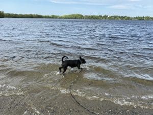 img 4511 heic
